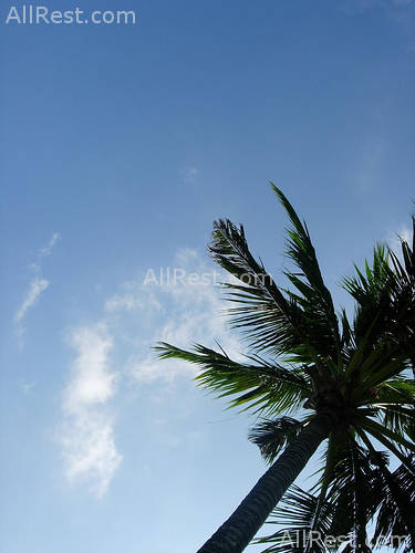 ALiLa Manggis boutique 28